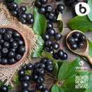 Bobica's PREMIUM European Organic Aronia Berry (Chokeberry) Capsules | 500 mg | 90 Vcaps | Antioxidant Superfood, Anti-inflammatory, Immunity | Non- GMO Free, Gluten Free, Soy Free| For Vegetarians |