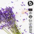 Bobica's Premium European Organic Lavender Capsules | 250 mg | 90 Vcaps | GMO Free, Gluten Free, All Natural | for Vegetarians and Vegans |