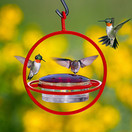 Mosaic Birds M047-301-R -  Hummble Bold Hummingbird Feeder Red