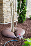 Treegator Jr. Pro Slow Release Watering Bag for Trees and Shrubs