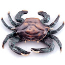 SPI Home Crab Doorknocker - 30748
