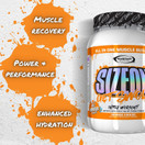 Gaspari Nutrition - SizeOn - The Ultimate Hybrid Intra-Workout - 3.59 Pound - Wild Berry Punch