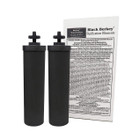 Crown Berkey Gravity Fed Water Filter with 2 Black Berkey Elements and 2 Berkey PF-2 Fluoride and Arsenic Reduction Elements