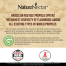 NaturaNectar Natural Red Bee Propolis | 60 Capsules - Natural Sore Throat Relief - Antioxidant Supplement, Healthy Inflammation Response & Immune Support - Premium Brazilian Propolis - Gluten-Free