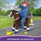 PonyCycle Age 3-5