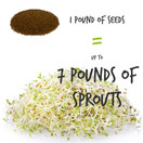 Certified Organic Alfalfa Sprouting / Sprout Seeds - Seed For Sprouts - 16 Oz