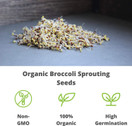 Organic Broccoli Sprouting Seeds By Handy Pantry | 1 Pound Resealable Bag| | Non-GMO Broccoli Sprouts Seeds, Contain Sulforaphane