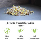 Organic Broccoli Sprouting Seeds By Handy Pantry | 8 oz. Resealable Bag | Non-GMO Broccoli Sprouts Seeds, Contains Sulforaphane