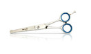 Show Gear Classic 6.5" Balltip Grooming Services / Shears - SG65CB