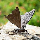 SPI Home Butterfly Garden Sculpture 