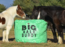 Large Big Bale Buddy - Green