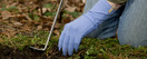 Foxgloves Grip Gardening Gloves Grip Sahara, Medium