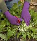 Foxgloves Grip Gardening Gloves Grip Sahara