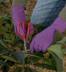 Foxgloves Grip Gardening Gloves – Over the wrist protection with silicone grip ovals on palm - Small, Moss Green