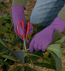 Foxgloves Grip Gardening Gloves – Over the wrist protection with silicone grip ovals on palm - Small, Moss Green