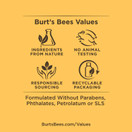 Burt's Bees 100% Natural Facial Cleansing Oil for Normal to Dry Skin, 6 Oz (Package May Vary)