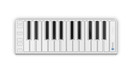 Xkey AIR 25 Key Bluetooth MIDI Controller, Silver