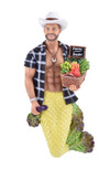 December Diamonds 55-55414 Merman, Big N Tasty Hanging Ornament