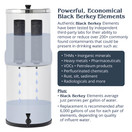 Big Berkey BK4X2 Countertop Water Filter System with 2 Black Berkey Elements and 2 PF 2