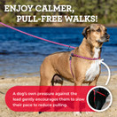 Harness Lead No Pull Dog Harness and Leash Set, Anti Pull Dog Harness for All Breeds and Sizes, One-Piece Cushioned Rope Design Safely Prevents Escaping and Pulling (Medium/Large, Black/Reflective)