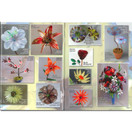 Fused Glass Flowers