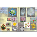 Fused Glass Flowers - Flowerbook