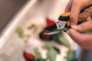 Fiskars Solid Snip Pruner, Floral SP14, Length: 24cm, Steel Blades/Plastic Handle, 1051601 | Orange/Black