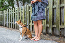 Harness Lead No Pull Dog Harness and Leash Set, Anti Pull Dog Harness for All Breeds and Sizes, One-Piece Cushioned Rope Design Safely Prevents Escaping and Pulling (Small/Medium, Black/Reflective)