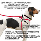 Harness Lead No Pull Dog Harness and Leash Set, Anti Pull Dog Harness for All Breeds and Sizes, One-Piece Cushioned Rope Design Safely Prevents Escaping and Pulling (Medium/Large, Peacock/Blue/Lime)