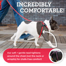 Harness Lead No Pull Dog Harness and Leash Set, Anti Pull Dog Harness for All Breeds and Sizes, One-Piece Cushioned Rope Design Safely Prevents Escaping and Pulling (Medium/Large, Red/Reflective)