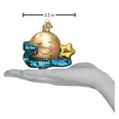 Old World Christmas Ornaments Love You to The Moon and Back Glass Blown Ornaments for Christmas Tree