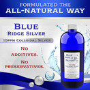 10 ppm 32 oz Colloidal Silver Natural Immune Support Health Supplement | 32 Fl Oz (Pack of 1)