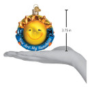 Old World Christmas You are My Sunshine Glass Blown Ornament for Christmas Tree | You are My Sunshine