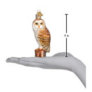 Old World Christmas Ornaments: Owls Glass Blown Ornaments for Christmas Tree, 3 x 3