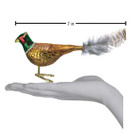 Old World Christmas Ornaments: Bird Watcher Collection Glass Blown Ornaments for Christmas Tree, Pheasant