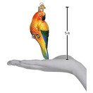 Old World Christmas Sun Conure Glass Ornament Free Box 16133 New
