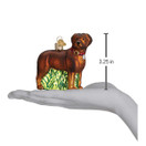Old World Christmas 12508 Dog Collection Glass Blown Ornaments for Christmas Tree Standing - Chocolate Lab