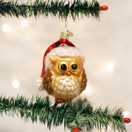 Old World Christmas Ornaments Santa Owl Glass Blown Ornaments for Christmas Tree