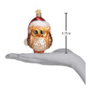 Old World Christmas Ornaments Santa Owl Glass Blown Ornaments for Christmas Tree