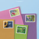Garden Delights (Booklet of 20) First-Class Mail Forever Postage Stamps 2024 Scott 5845-5848