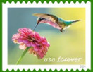 Garden Delights (Booklet of 20) First-Class Mail Forever Postage Stamps 2024 Scott 5845-5848