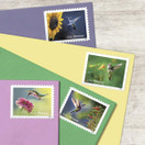Garden Delights (Booklet of 20) First-Class Mail Forever Postage Stamps 2024 Scott 5845-5848