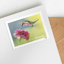 Garden Delights (Booklet of 20) First-Class Mail Forever Postage Stamps 2024 Scott 5845-5848