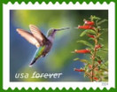 Garden Delights (Booklet of 20) First-Class Mail Forever Postage Stamps 2024 Scott 5845-5848