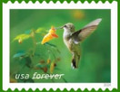 Garden Delights (Booklet of 20) First-Class Mail Forever Postage Stamps 2024 Scott 5845-5848