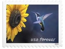 Garden Delights (Booklet of 20) First-Class Mail Forever Postage Stamps 2024 Scott 5845-5848