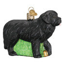 Old World Christmas Dog Collection Glass Blown Ornaments for Christmas Tree Newfoundland | Newfoundland