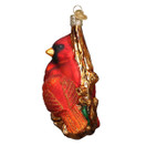 Old World Christmas Pair Bird Watcher Collection Glass Blown Ornaments for Christmas Tree,Northern Cardinal