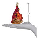 Old World Christmas Pair Bird Watcher Collection Glass Blown Ornaments for Christmas Tree,Northern Cardinal | Cardinals