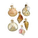 Old World Christmas Hanging Ornament | Assorted Sea Shell Set.